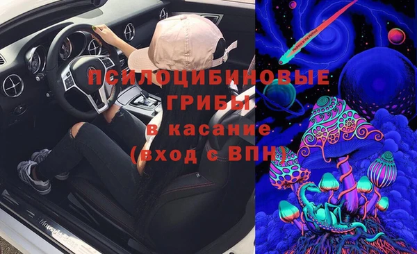 PSILOCYBIN Осинники