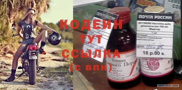 трава Няндома