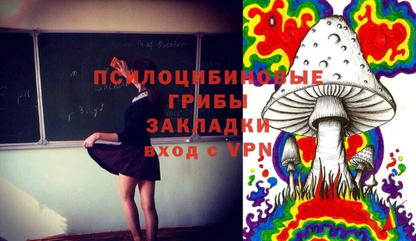 PSILOCYBIN Осинники