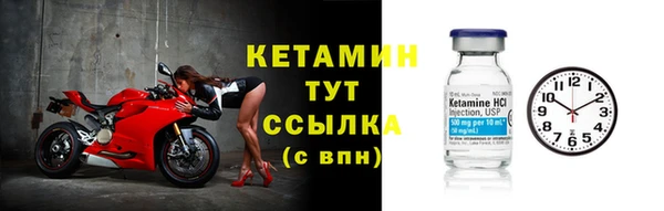 трава Няндома