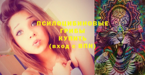 трава Няндома