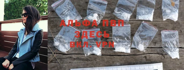 трава Няндома