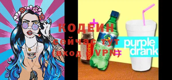 трава Няндома