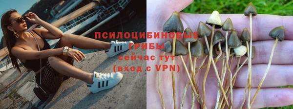 круглые Осташков