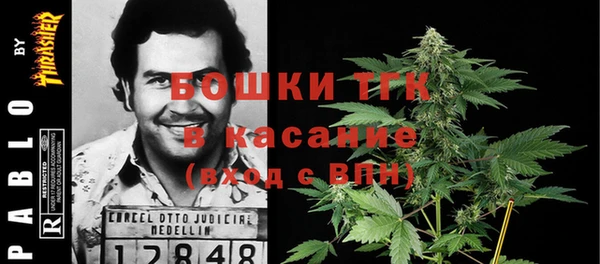 трава Няндома
