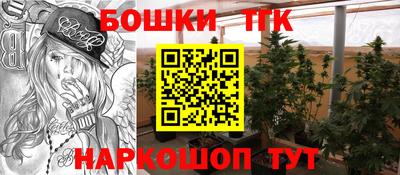 шишки Бузулук