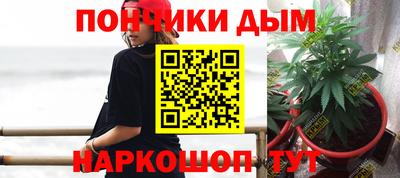 шишки Бузулук