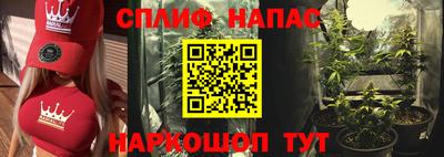 шишки Бузулук
