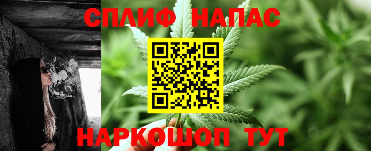 МАРИХУАНА конопля Нефтекумск